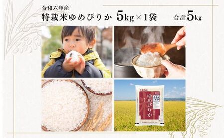 日経トレンディ「米のヒット甲子園」大賞受賞『特栽米ゆめぴりか5kg』