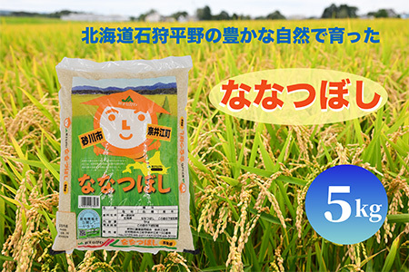 北海道奈井江町 ななつぼし 5kg