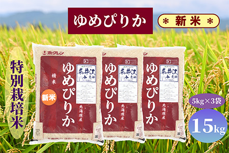 kCވ]@ʍ͔|ā@߂҂肩@15kg