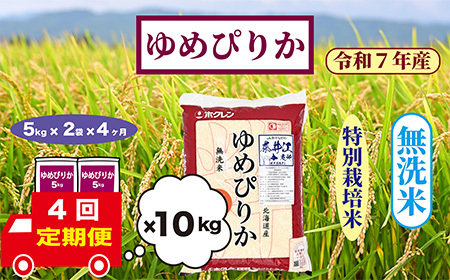 y4zkCވ]@ʍ͔|ā@߂҂肩@10kgyāz