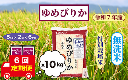 y6zkCވ]@ʍ͔|ā@߂҂肩@10kgyāz