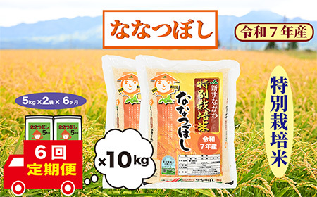 y6zkCވ]@ʍ͔|ā@ȂȂڂ@10kg