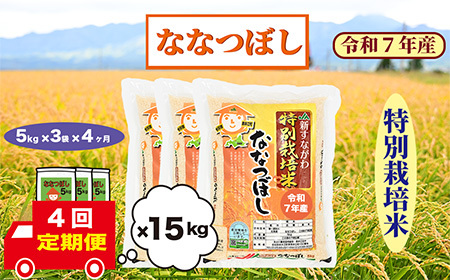 y4zkCވ]@ʍ͔|ā@ȂȂڂ@15kg