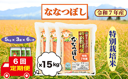 y6zkCވ]@ʍ͔|ā@ȂȂڂ@15kg