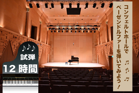 北海道奈井江町 コンチェルトホール ベーゼンドルファー ピアノ[12時間]試弾チケット