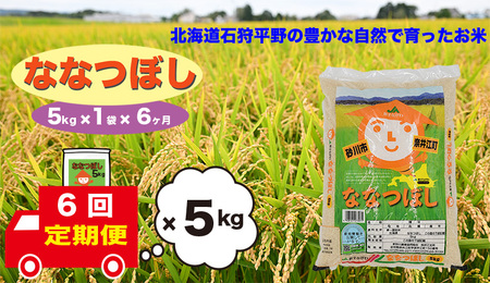 y6zkCވ]@ȂȂڂ@5kg