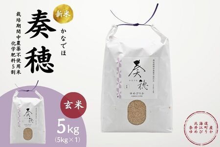 kCވ]Y߂҂肩wtiȂłفjx@5kg@͔|Ԓ_sgpāiw엿5j