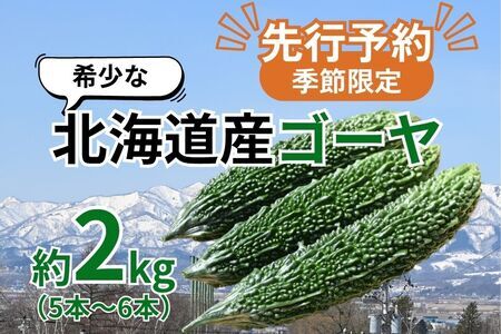 [先行予約/季節限定]希少な北海道産ゴーヤ!奈井江町の寒暖差が育んだまろやかな苦み 約2kg(5〜6本)