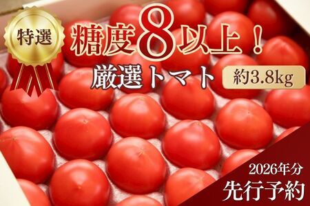 【先行予約/季節限定】『特選』糖度8以上！北海道奈井江町産 厳選トマト「桃太郎ファイト」約3.8kg 24~32玉