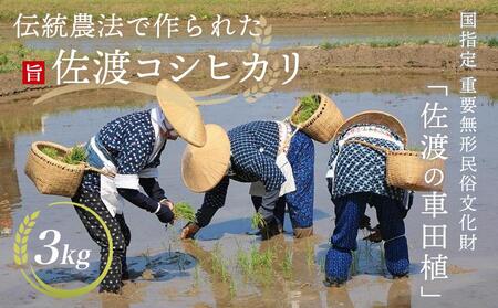 「佐渡の車田植」（国指定 重要無形民俗文化財） 北村家のコシヒカリ3kg （稲穂付き）