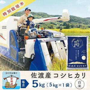 【3か月定期便】佐渡島産コシヒカリ 白米5Kg 令和7年 特別栽培米 農家直送