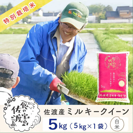 佐渡島産ミルキークイーン 白米5Kg 令和7年産 特別栽培米
