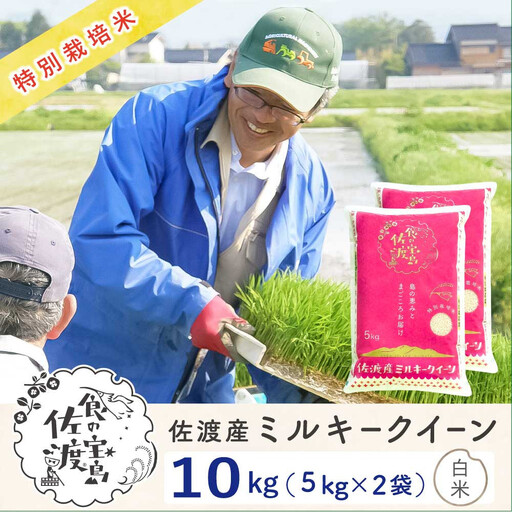 佐渡島産ミルキークイーン 白米10kg(5kg×2袋) 令和7年産 特別栽培米