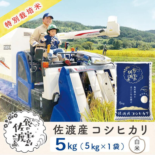 佐渡島産コシヒカリ 白米5kg 特別栽培米 農家直送