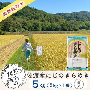 [新米・先行予約]佐渡島産 にじのきらめき 白米5Kg×1袋 特別栽培米 令和6年産