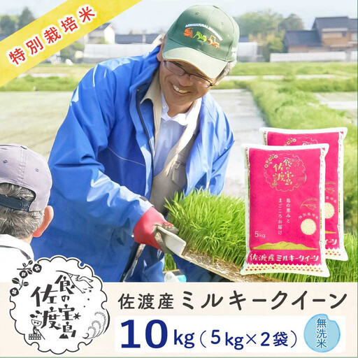 佐渡島産ミルキークイーン 無洗米10kg(5kg×2袋) 令和7年産 特別栽培米