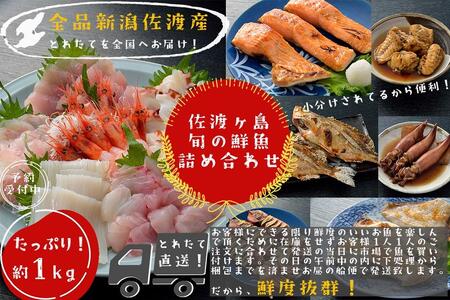 佐渡島の旬の魚介詰め合わせ　刺身用 煮焼き用 各2～3種　約1kg
