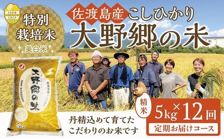[令和5年産]佐渡島産 特別栽培米こしひかり「大野郷の米」精米5kg×12回 定期お届けコース