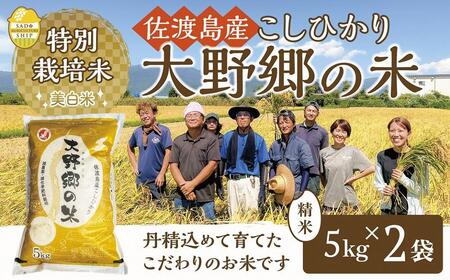 【令和５年産】佐渡島産 特別栽培米こしひかり「大野郷の米」精米5kg×2袋
