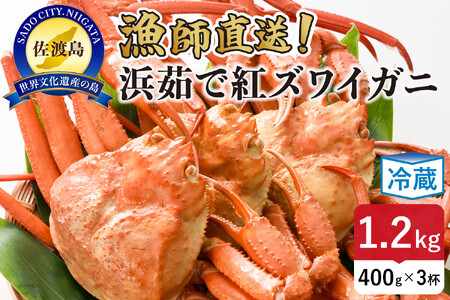 yӂ邳Ɣ[ŁznIl䥂ōgYCKji1t400g/3tj
