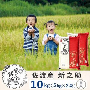佐渡島産 新之助 精米10kg(5kg×2袋）令和7年産