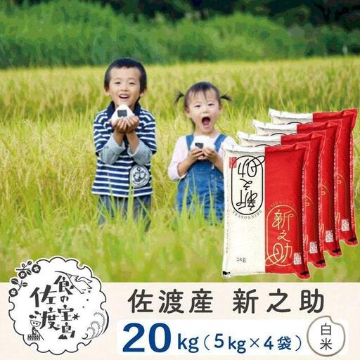 佐渡島産 新之助 白米20kg(5kg×4袋）令和7年産 【食の宝島佐渡】