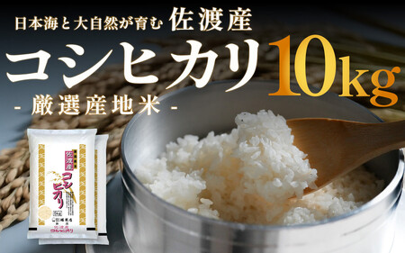 nYRVqJ 10kg (5kg x 2) ߘa7NY