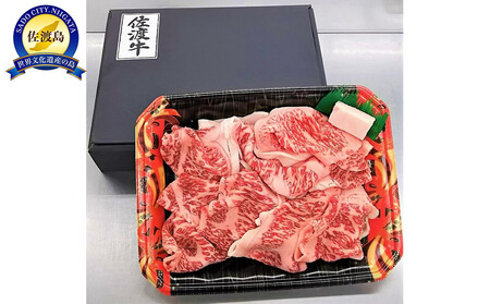 y12ʌ肨͂zna؂藎iⓀj400