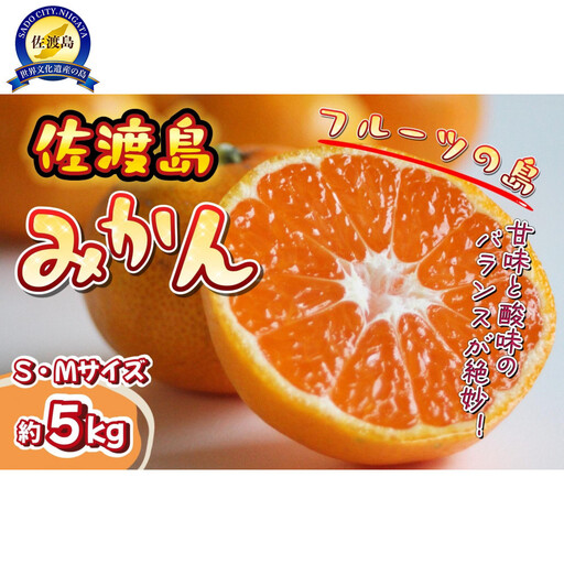 【数量限定】【2026年11月中旬以降順次発送】佐渡島産みかん（ゆら早生）S・Mサイズ　約5kg