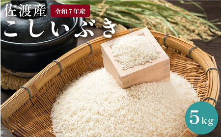 佐渡島産 こしいぶき 5kg 令和7年産