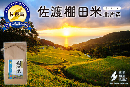 nYRVqJ kЕӒIc 4Kgi2Kg×2܁jyߘa7NYz