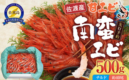 ys\zyߘa8N2{ȍ~znY ؃GriÃGrj`h 500gi40j