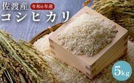 佐渡島産 コシヒカリ 5kg 令和6年産