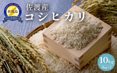 佐渡島産　コシヒカリ　10kg（5kg×2）　令和7年産