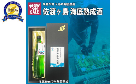 酒 日本酒 純米吟醸酒 佐渡 海底熟成酒 「真稜」720ml×1本