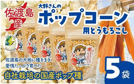 佐渡島産 大野さんのポップコーン用とうもろこし(180g×5袋入)