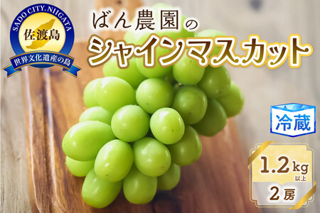 �y2026�N9�������z�V���C���}�X�J�b�g2�[1.2Kg�ȏ�@���n���Y