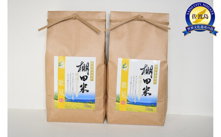 佐渡島産コシヒカリ 歌見棚田米 白米4Kg(2Kg×2袋)令和6年産