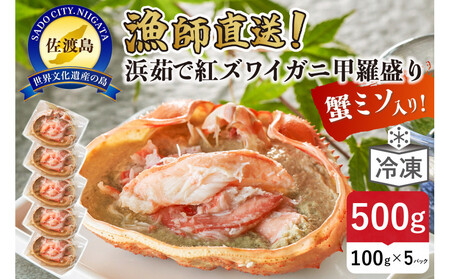 �y2026�N4����s��t�z���n�������I�l䥂ōg�Y���C�K�j�b������100g×5�p�b�N �I�~�\����@�ӂ邳�Ɣ[��