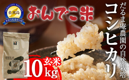 [令和7年産]だるま庵農園の自然栽培コシヒカリ玄米10キロ[2025年10月中旬より順次発送]