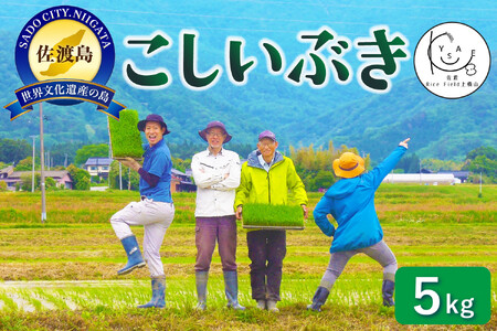佐渡Rice Field上横山の風[こしいぶき]令和7年度産 5kg