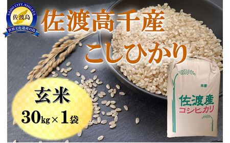 【令和７年産】佐渡高千産こしひかり 玄米 30kg×1袋