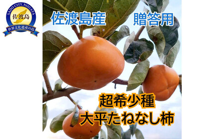 n̊󏭊`@啽˂Ȃ`6@p