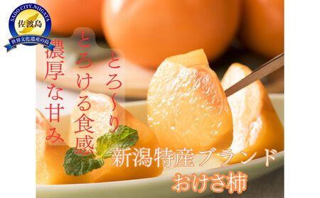 yƒpzHׂA傤ǂBM`LTCY@܂i7.5kgj