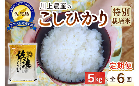 ߘa7NY n _ỸRVqJ ցi5kg×S6j