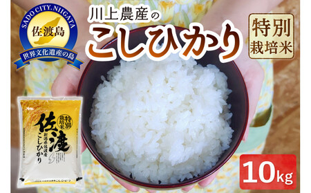 ߘa7NY n _ỸRVqJi10kgj