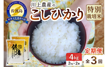 令和7年産 佐渡 川上農産のコシヒカリ 定期便(2kg×2×全3回)