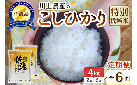 ߘa7NY n _ỸRVqJ ցi2kg×2×S6j