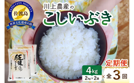令和7年産 佐渡 川上農産のこしいぶき 定期便(2kg×2×全3回)