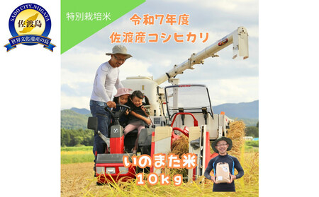 ߘa7NYRVqJ@āiāj10kg@_ƒ@nŝ܂